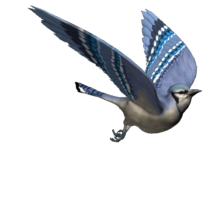 Птичка летит: Скачать бесплатно AMORALL - Птичка лети в MP3