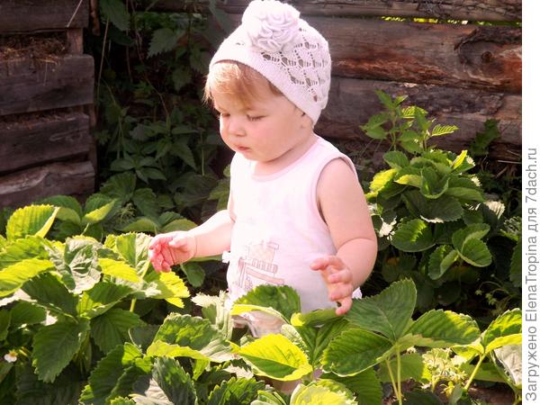 Бабушкина помощница !