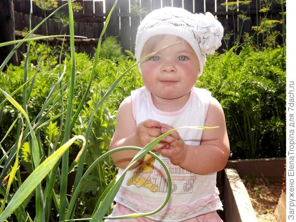 Бабушкина помощница !