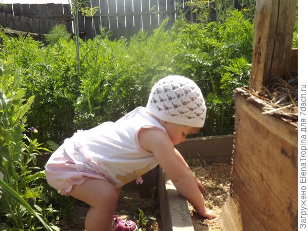 Бабушкина помощница !