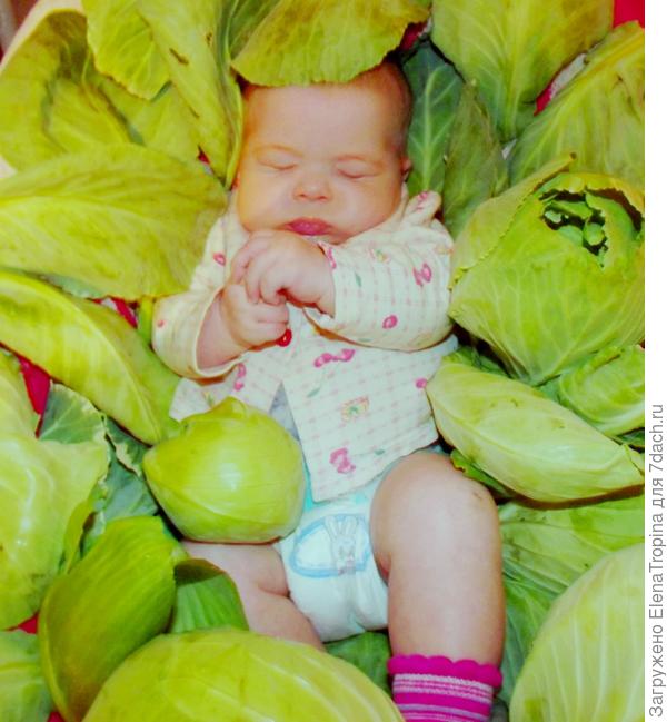 Бабушкина помощница !