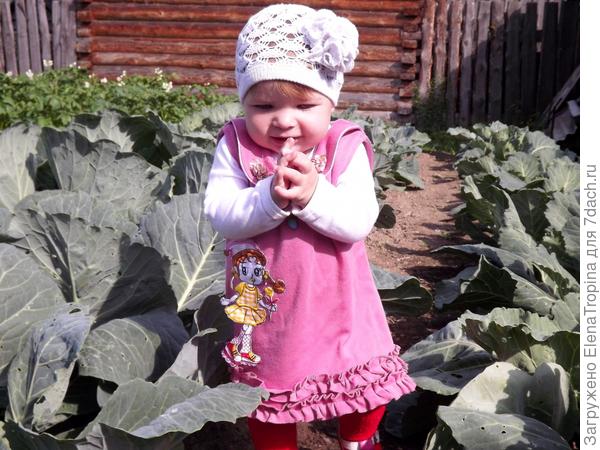 Бабушкина помощница !