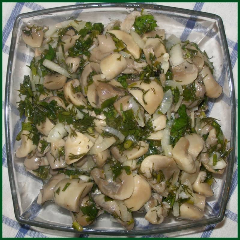 Как подать на стол соленые грибы: Грибы соленые: рецепт приготовления на зиму