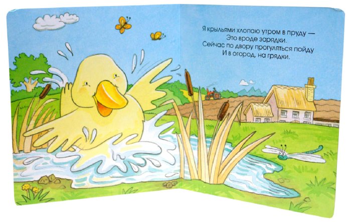 Загадки про утку для детей: Детям загадки про птиц: Утка, Селезень, Утята