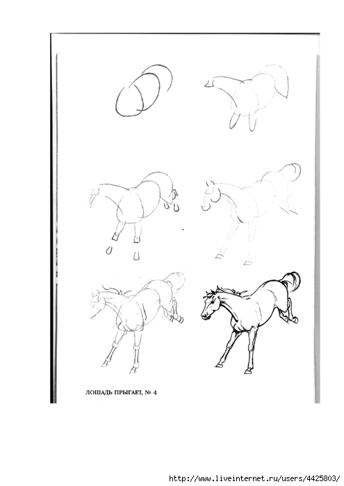 Рисуем лошадь поэтапно для детей: КАК РИСОВАТЬ ЛОШАДЬ КАРАНДАШОМ » Как рисовать поэтапно. Уроки рисования карандашом для начинающих
