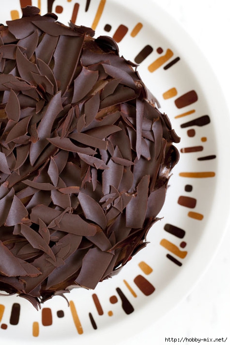 Листья шоколадные: Шоколадные листья — украшение для торта своими руками с фото