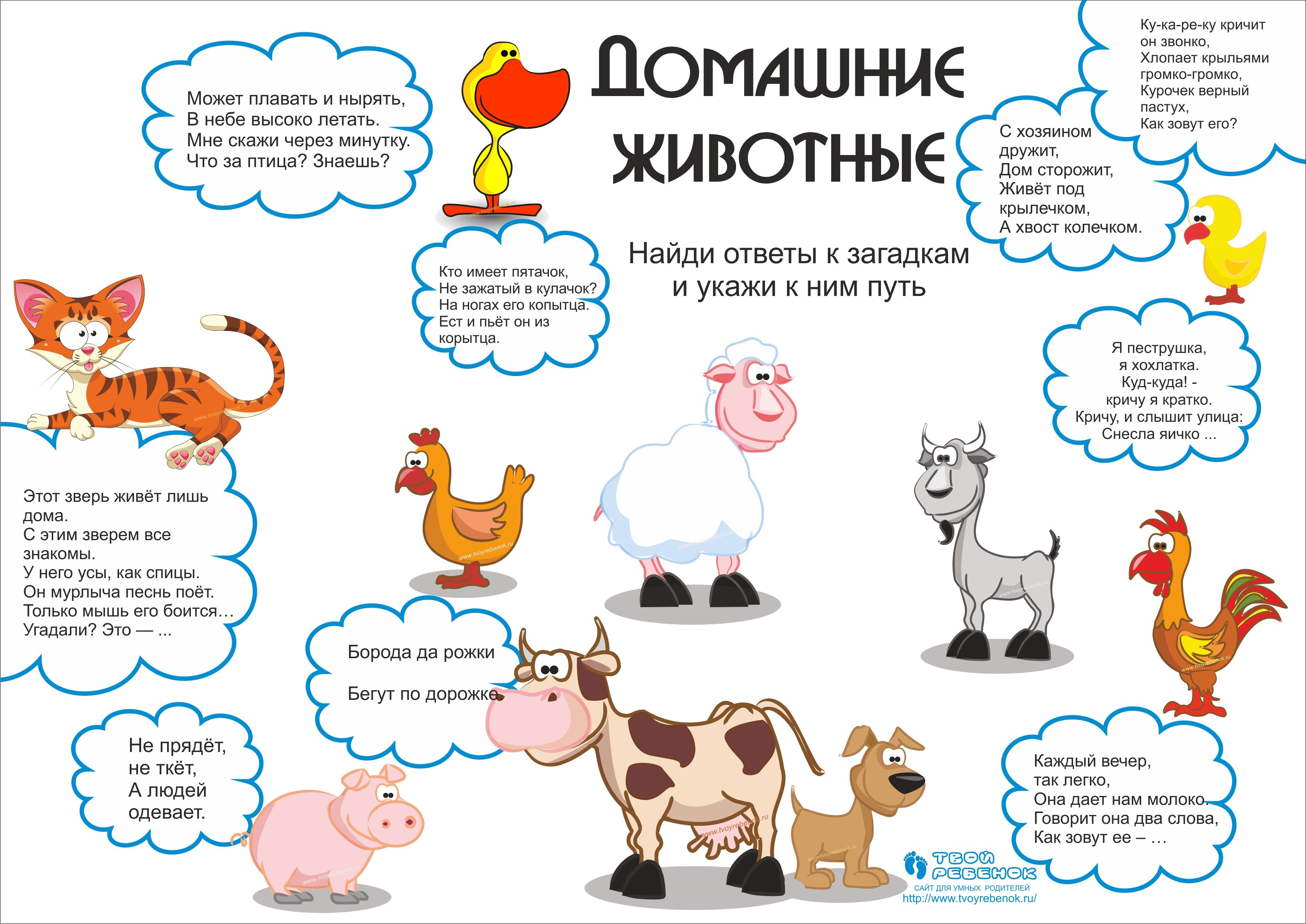 Сложные загадки о животных с ответами для 5 класса: Загадки про животных с ответами