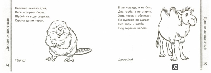 Загадка про животных для детей 1 класса: Подборка загадок о животных. | Материал (1,2 класс) по теме: