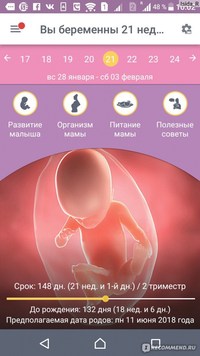 Развитие беременности по месяцам: развитие плода, изменения в организме женщины, риски на разных сроках, советы врачей, фото и видео