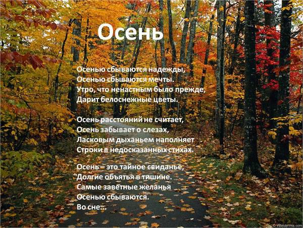 Стихотворение осень в лесу: Стихи про осенний лес