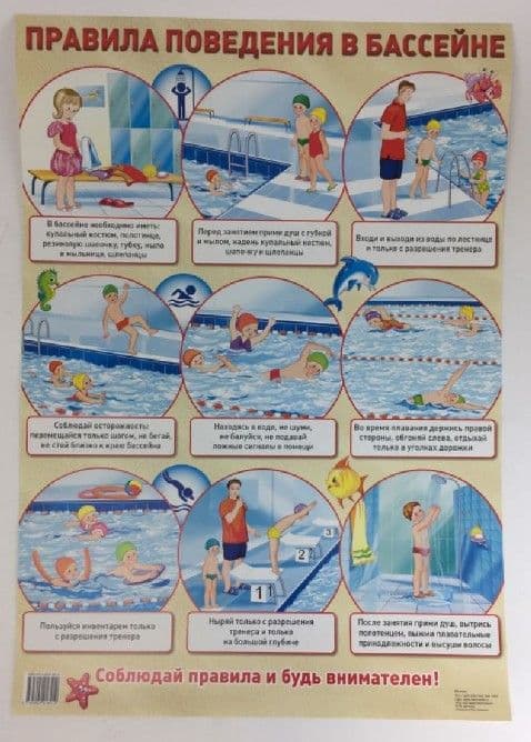 Техника безопасности в бассейне для детей: Техника безопасности в бассейне - Блог SWIMROCKET