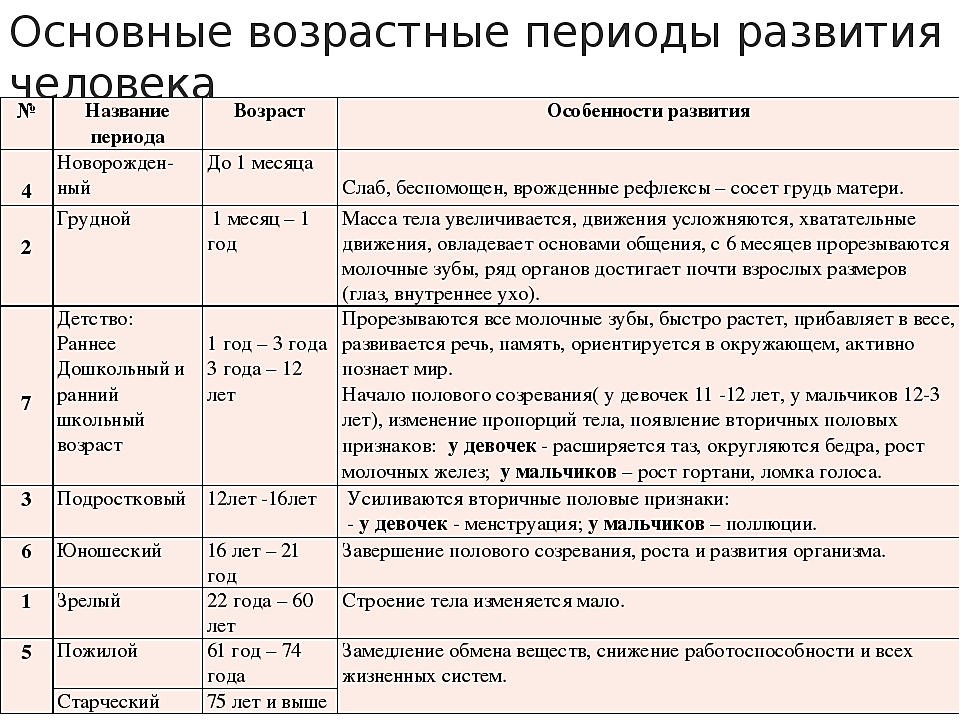 Возраст и развитие ребенка: от новорожденного до малыша