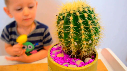 Интересные загадки про кактус для детей 5-7 лет