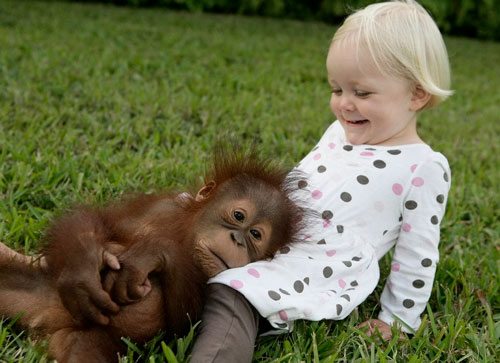 Загадки про обезьяну с ответами для детей 5-7 лет
