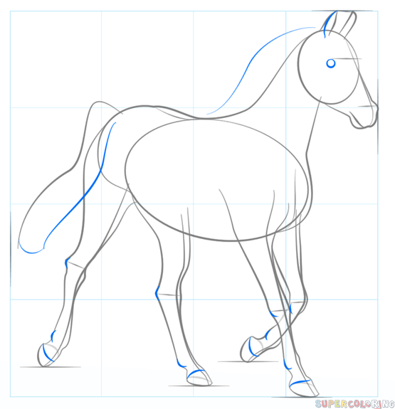 Как нарисовать лошадь: поэтапно с помощью карандаша