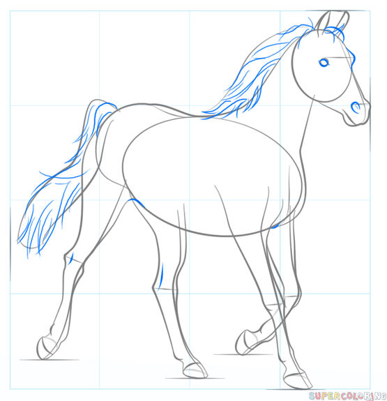 Как нарисовать лошадь: поэтапно с помощью карандаша