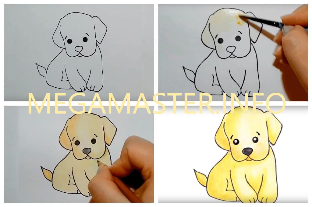 Как легко нарисовать щенка ребёнку (Шаг 3)