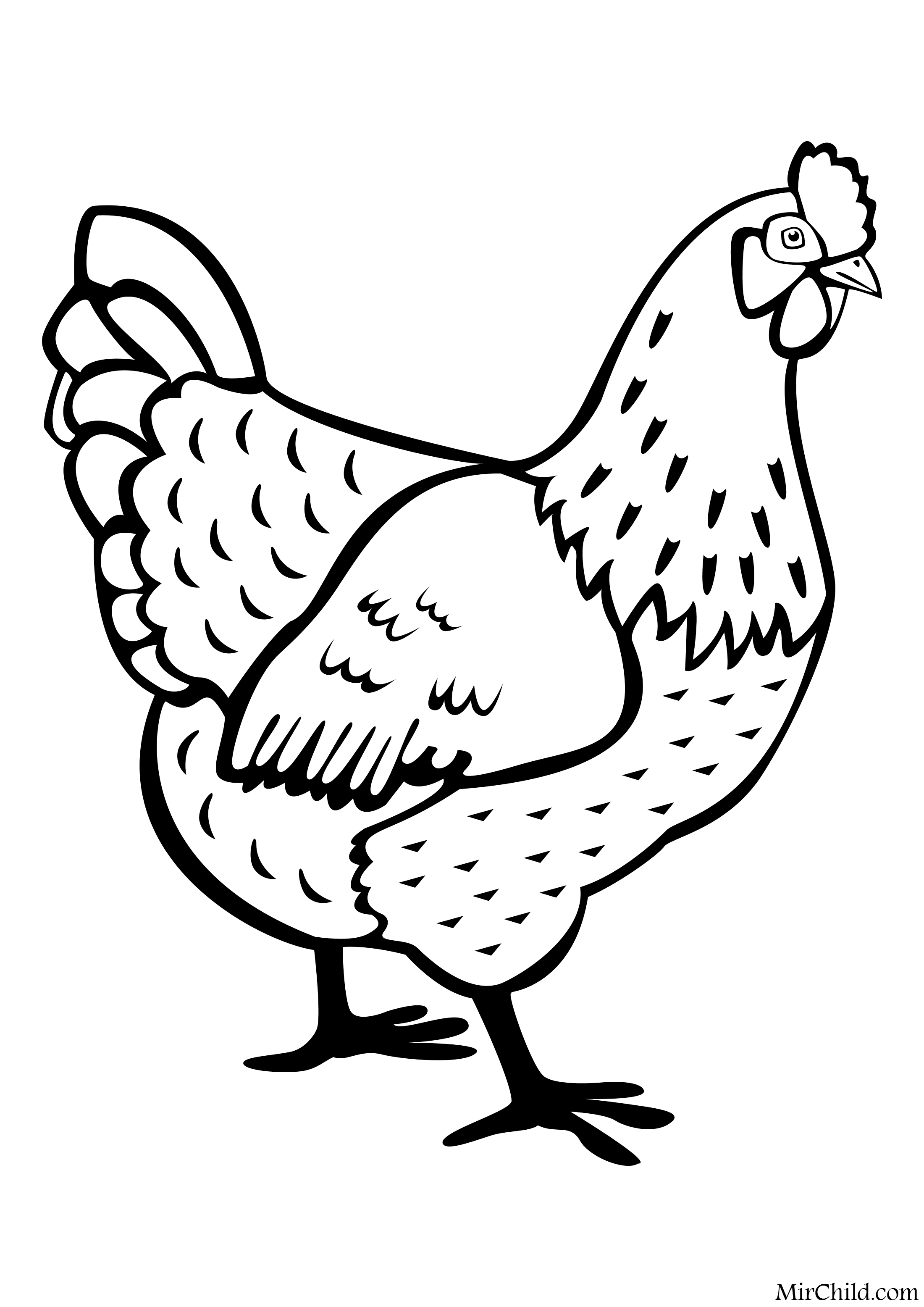 Рисунок курицы карандашом: Как нарисовать петуха карандашом поэтапно для детей
