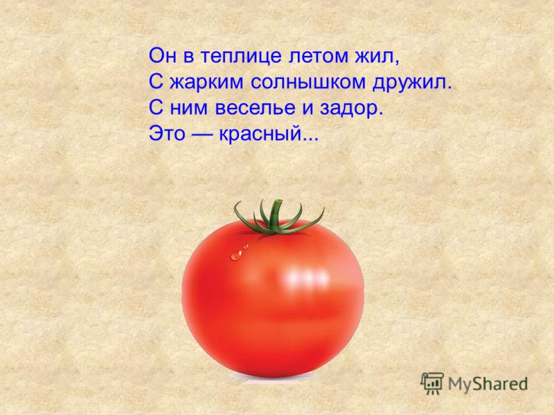 Старые загадки с ответами для детей: 40 загадок обо всем на свете • Arzamas