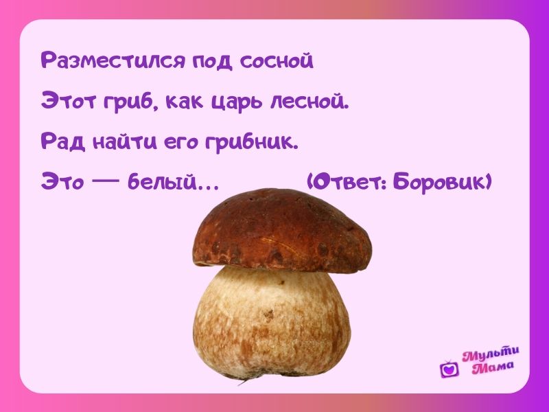 Загадки о грибах для дошкольников с ответами: Загадки про грибы с ответами