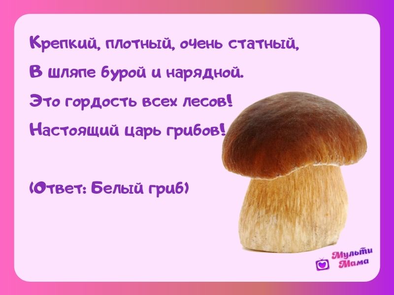 Загадки про грибы сложные: Загадки про грибы с ответами