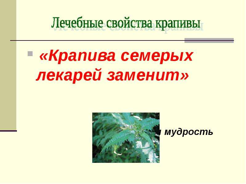 Загадка про крапиву для детей: Загадки про крапиву для детей