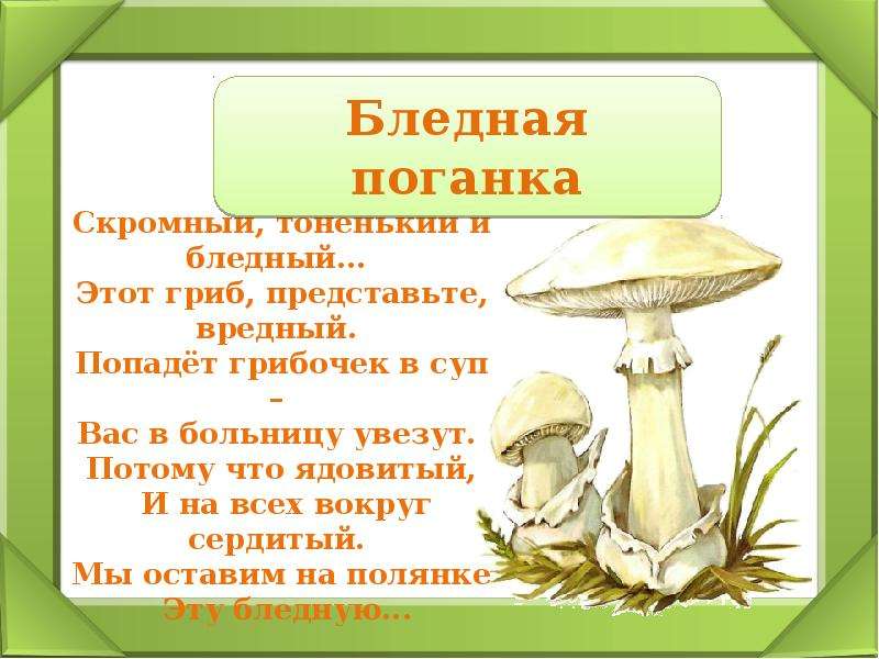 Загадки для детей о грибах с ответами: Загадки про грибы для детей