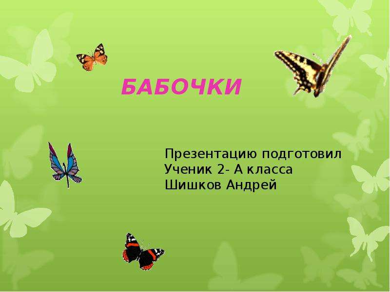 Загадка про бабочку: Загадки про бабочку с ответами