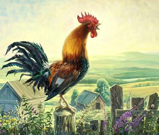 Петух сказка: Сказки про петуха. Сказки про курицу. Читайте онлайн с картинками.