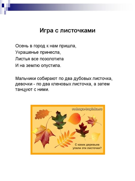 Стихи про кленовые листья для детей: Стихи про клен | Стихи