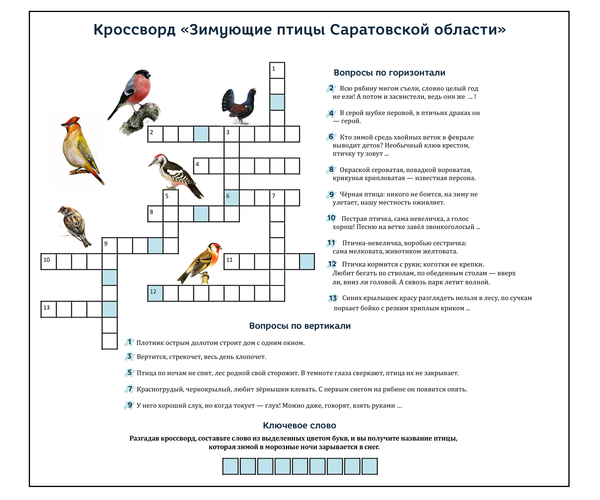 Загадки про птиц с ответами для 2 класса: Загадки про птиц для детей с ответами