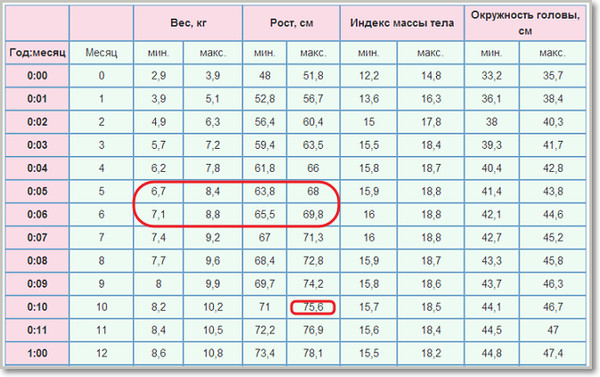 Рост девочек в 9 месяцев: Развитие ребенка в 9 месяцев рост вес - малыш в 9 месяцев развитие и питание