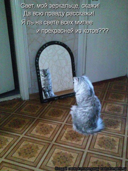 Я на свете всех милее: , ! : , ? – Dslov.ru