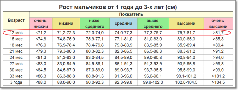 Рост девочек: какой в среднем по нормам ВОЗ — www.wday.ru