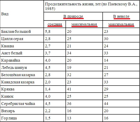 Сколько лет живет: Сколько лет в среднем живет человек в хороших условиях: факты