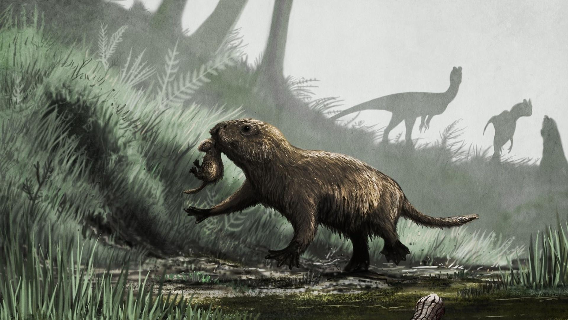 В каком периоде вымерли динозавры: «Когда вымерли динозавры?» – Яндекс.Кью
