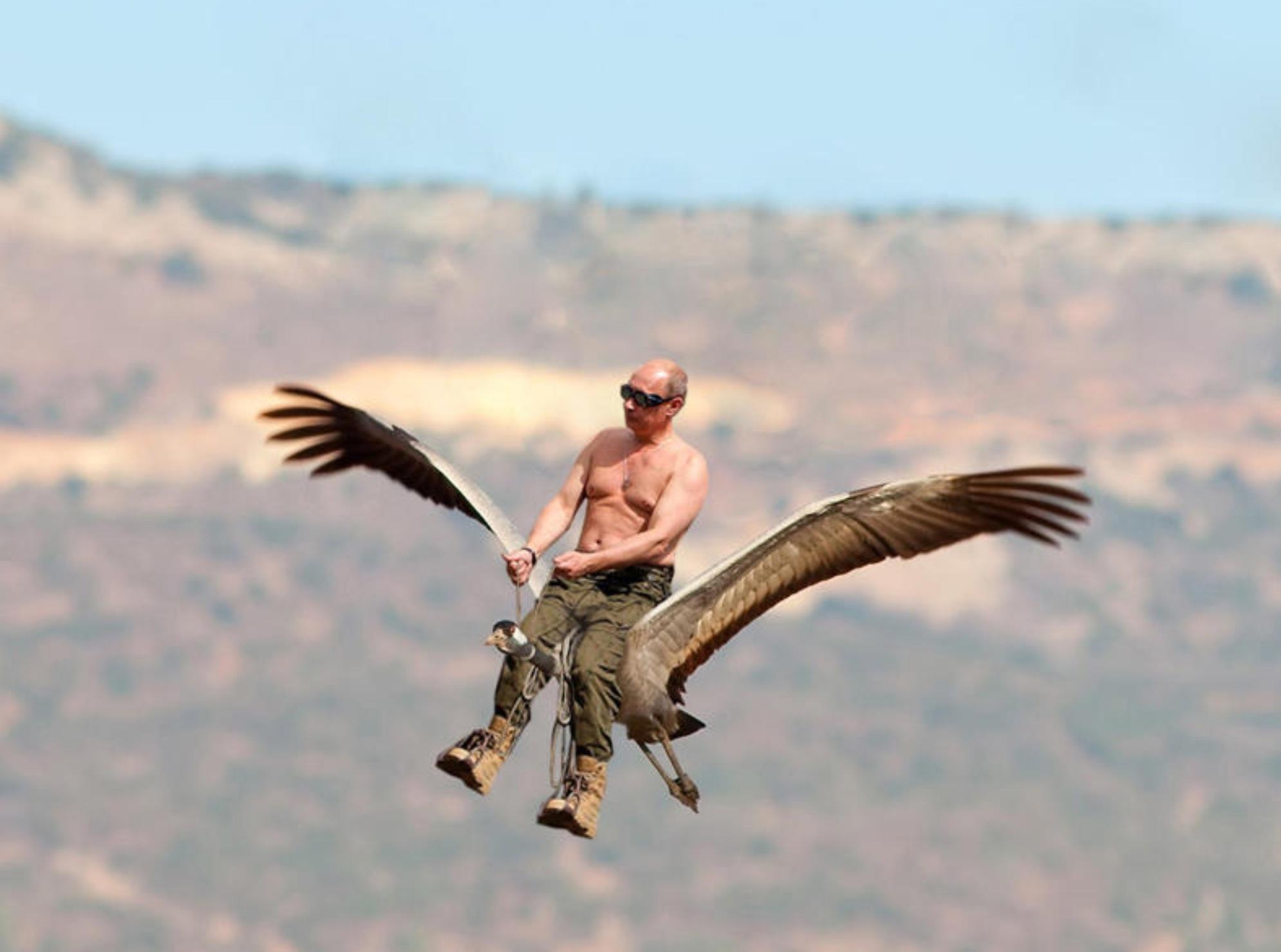 Что над нами вверх ногами: КТО НАД НАМИ ВВЕРХ НОГАМИ?