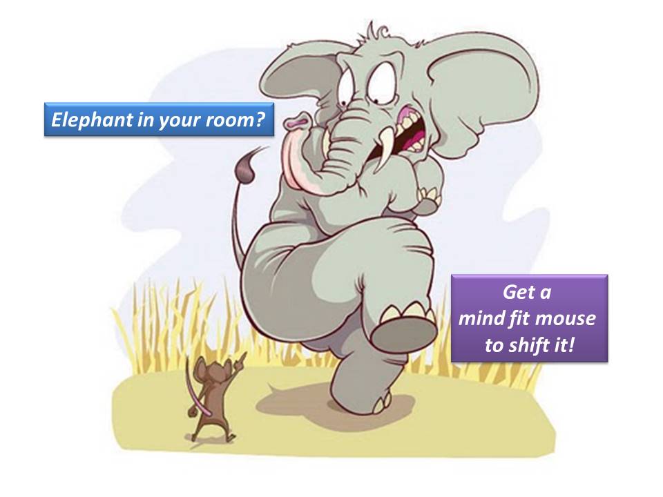 Почему слон боится мышь: Почему слоны боятся мышей? Ответ, фото и видео