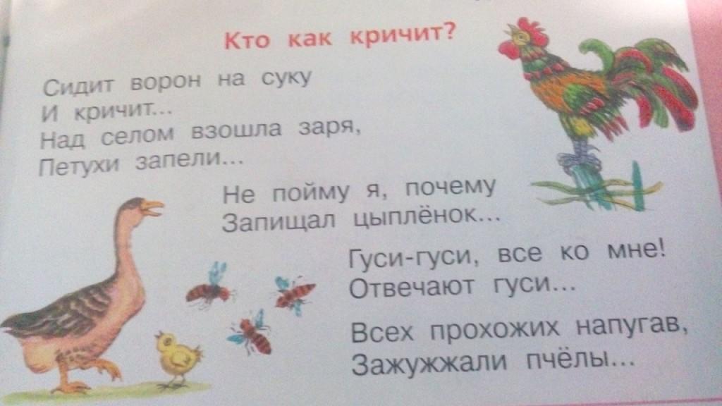 Загадка принялась она за дело завизжала и запела ответ: Отгадай загадку. Принялась она за дело, Завизжала и запела. Ела, ела дуб, дуб, Поломала зуб, зуб