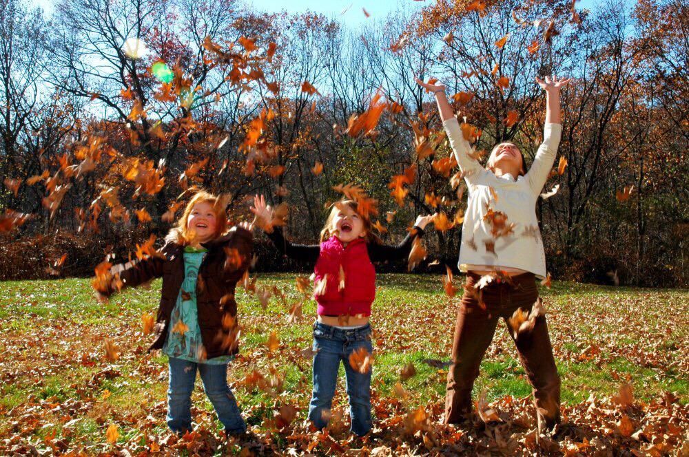 Подвижные игры для дошкольников осенние: Катротека подвижных игр осень | Картотека по физкультуре (старшая группа):