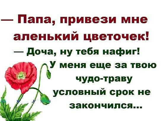 Аленький цветочек сила в травах: О нас | Фитоцентр "Аленький цветочек"