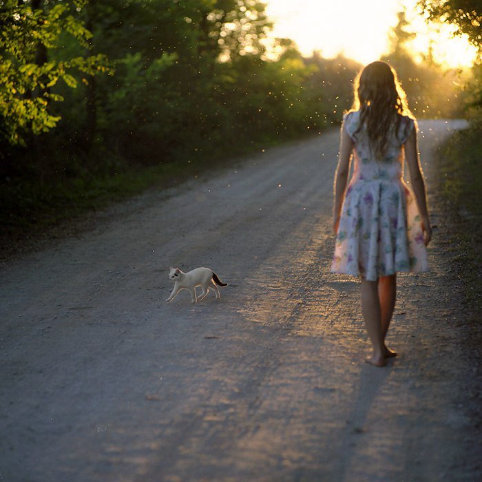 Ясными ночками гуляет: Ясными ночками гуляет мама с дочками — загадка для детей с ответом