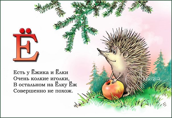 Еж загадка: Загадки о еже для детей