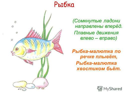 Загадка о рыбке: Загадки про рыбу с ответами
