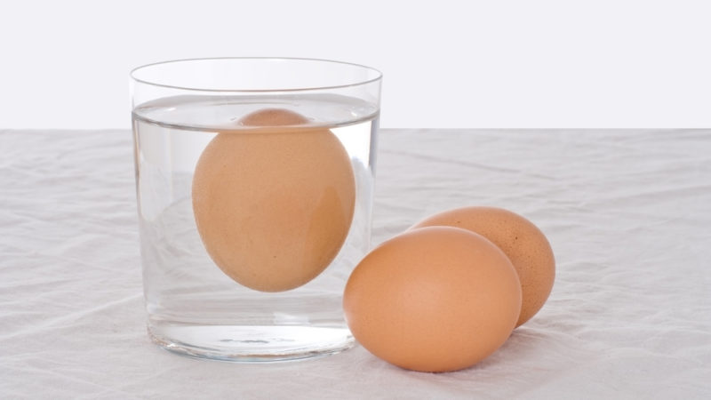 Свежее яйцо плавает или тонет: Как проверить свежесть яиц в воде