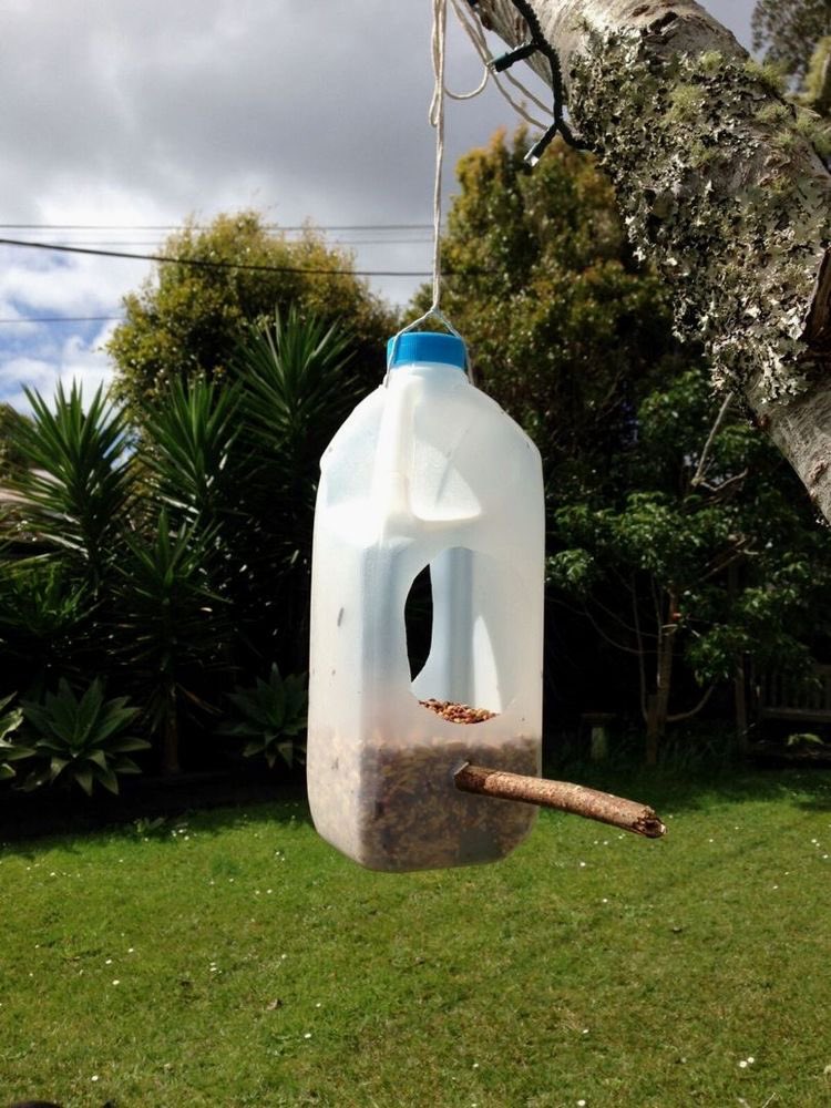 Кормушки для птиц своими руками фото из пластиковых бутылок: как сделать ее из 2-литровой пластмассовой бутылки своими руками пошагово? Как украсить кормушку?