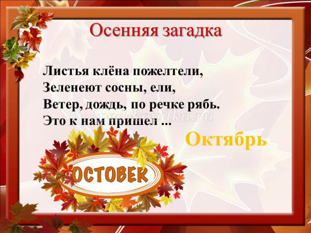 Загадка про листву: Загадки про листья для детей