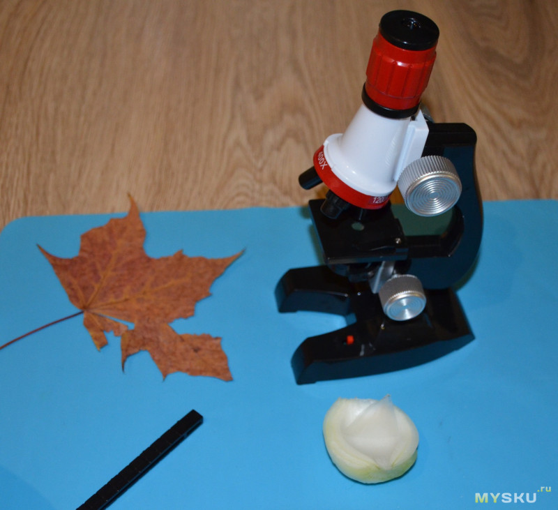 Как пользоваться микроскопом: Правила работы с микроскопом и его настройка – Как пользоваться микроскопом 🚩 инструкция микроскоп детский 🚩 Хобби и развлечения 🚩 Другое