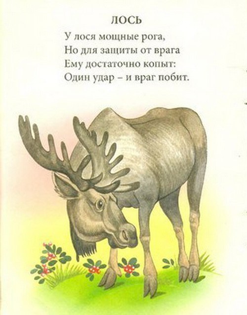 Короткие стихи о животных детские: Стихи про животных для детей, короткие стихи о животных онлайн