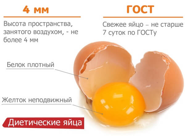 Почему яйцо всплывает: 4 простых способа проверить свежесть яиц